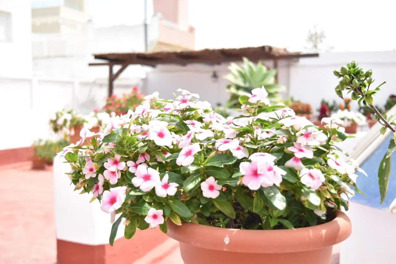 Apartamentos Veedor Cádiz