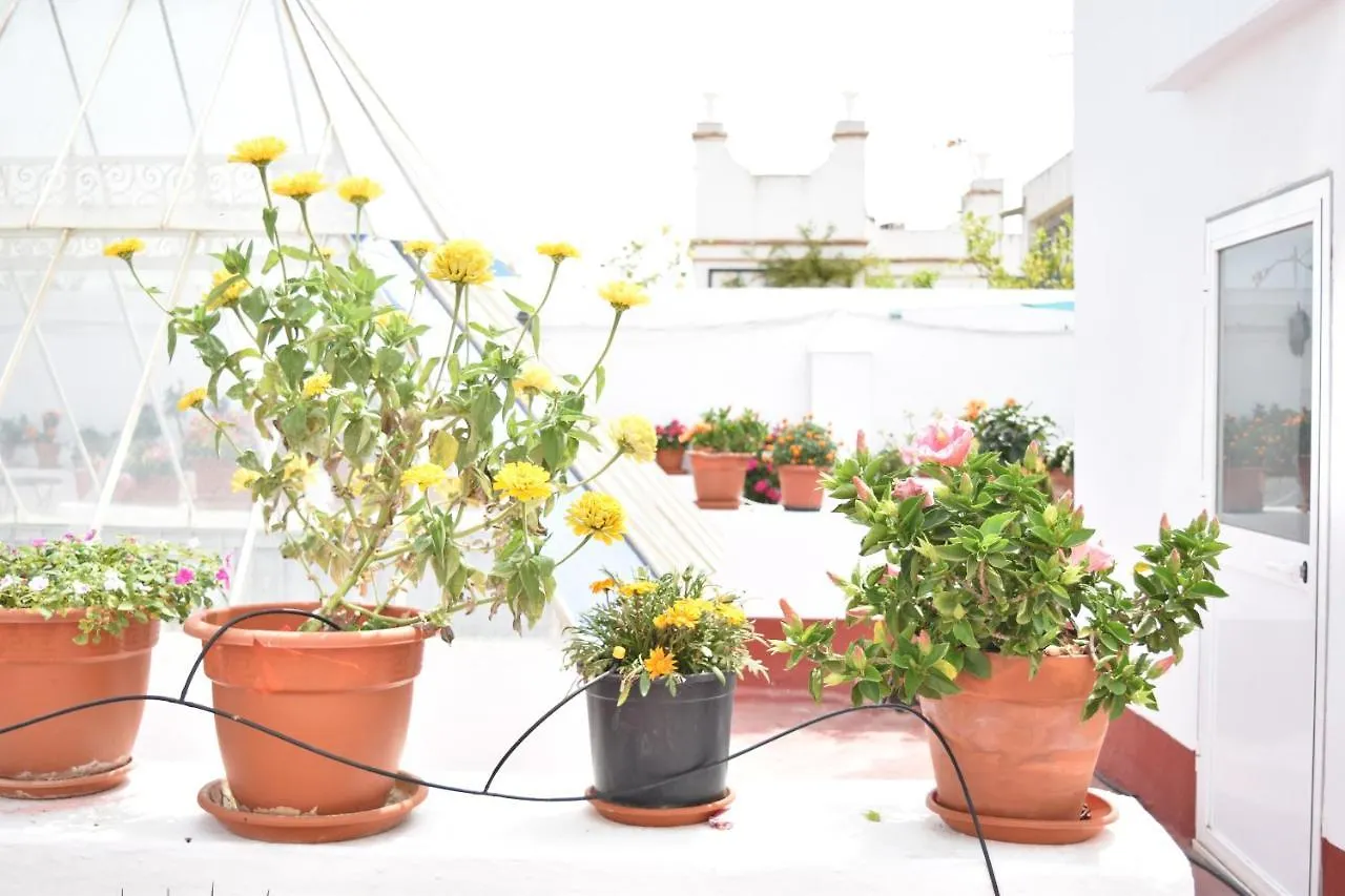 Apartamentos Veedor Cádiz España