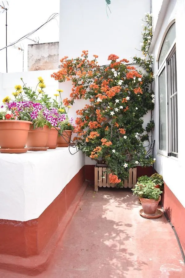 Apartamentos Veedor Cádiz 0*,  España