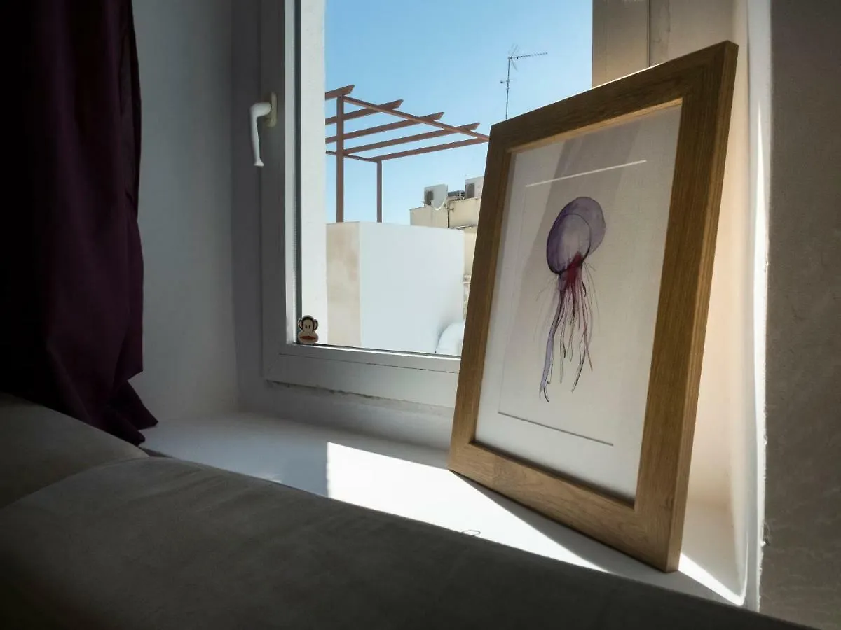 Apartamentos Veedor Cádiz España