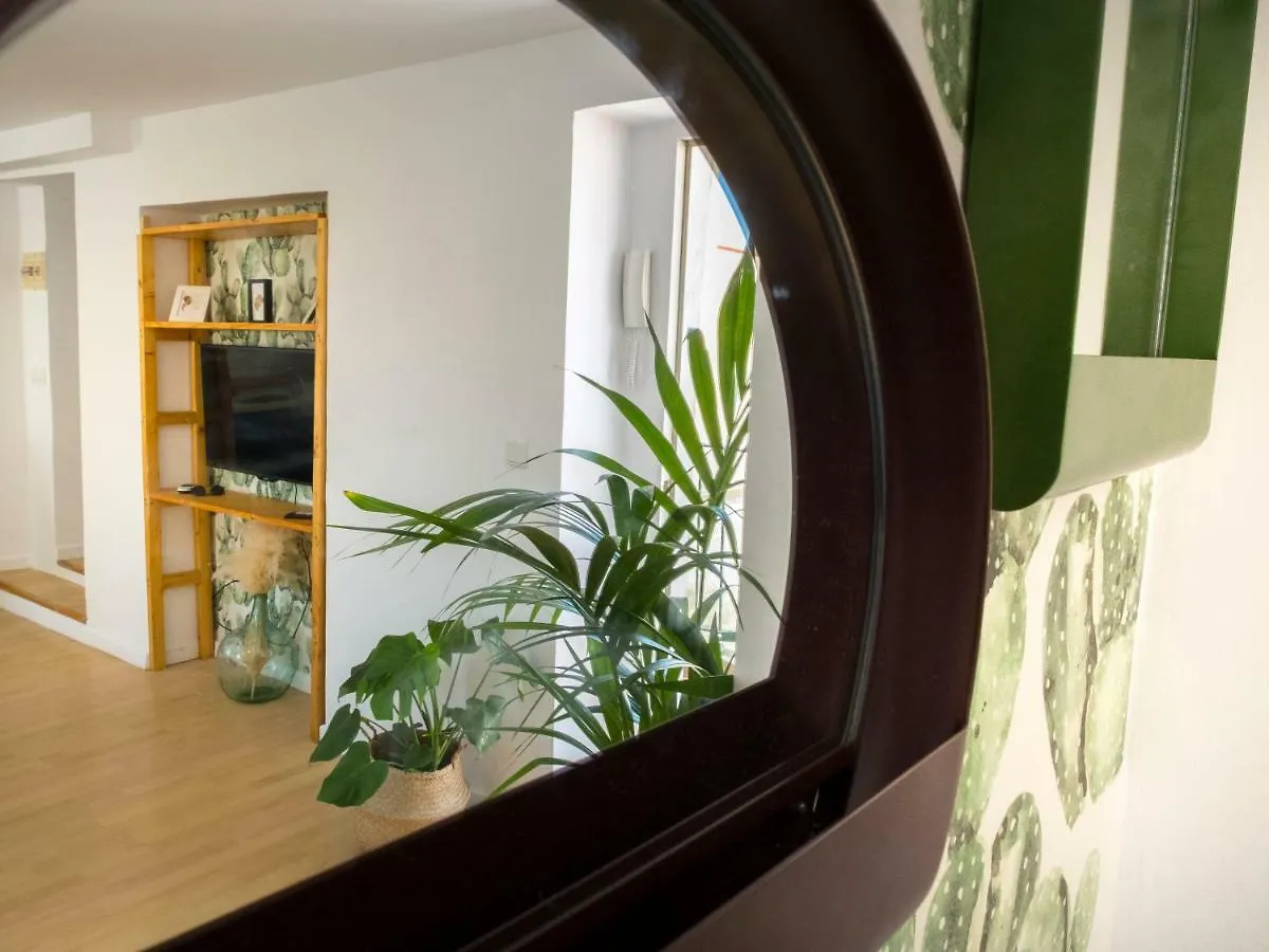 Apartamentos Veedor Cádiz